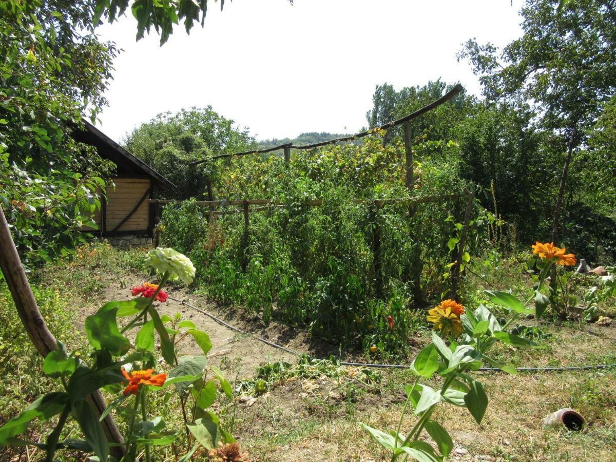 Beefree Villa Gorsko Slivovo Exteriör bild