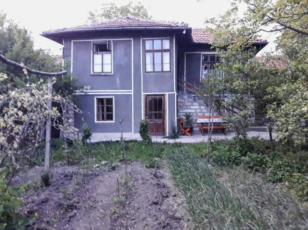 Beefree Villa Gorsko Slivovo Exteriör bild